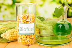 Rhosllanerchrugog biofuel availability
